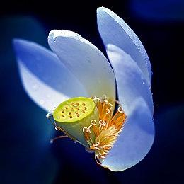 《荒野枪巫》10月18日发售 Steam国区售价78元